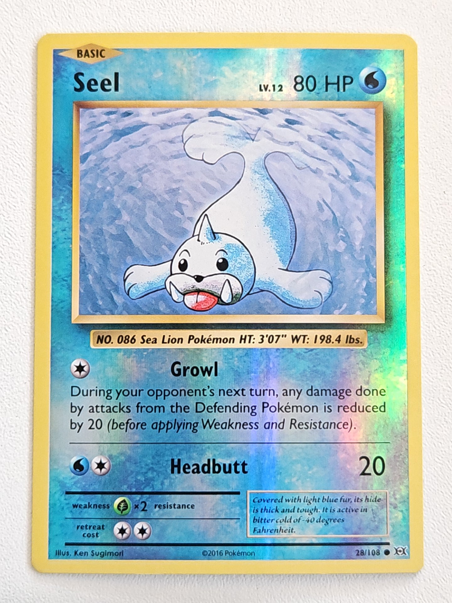 Seel 28/108 XY Evolutions