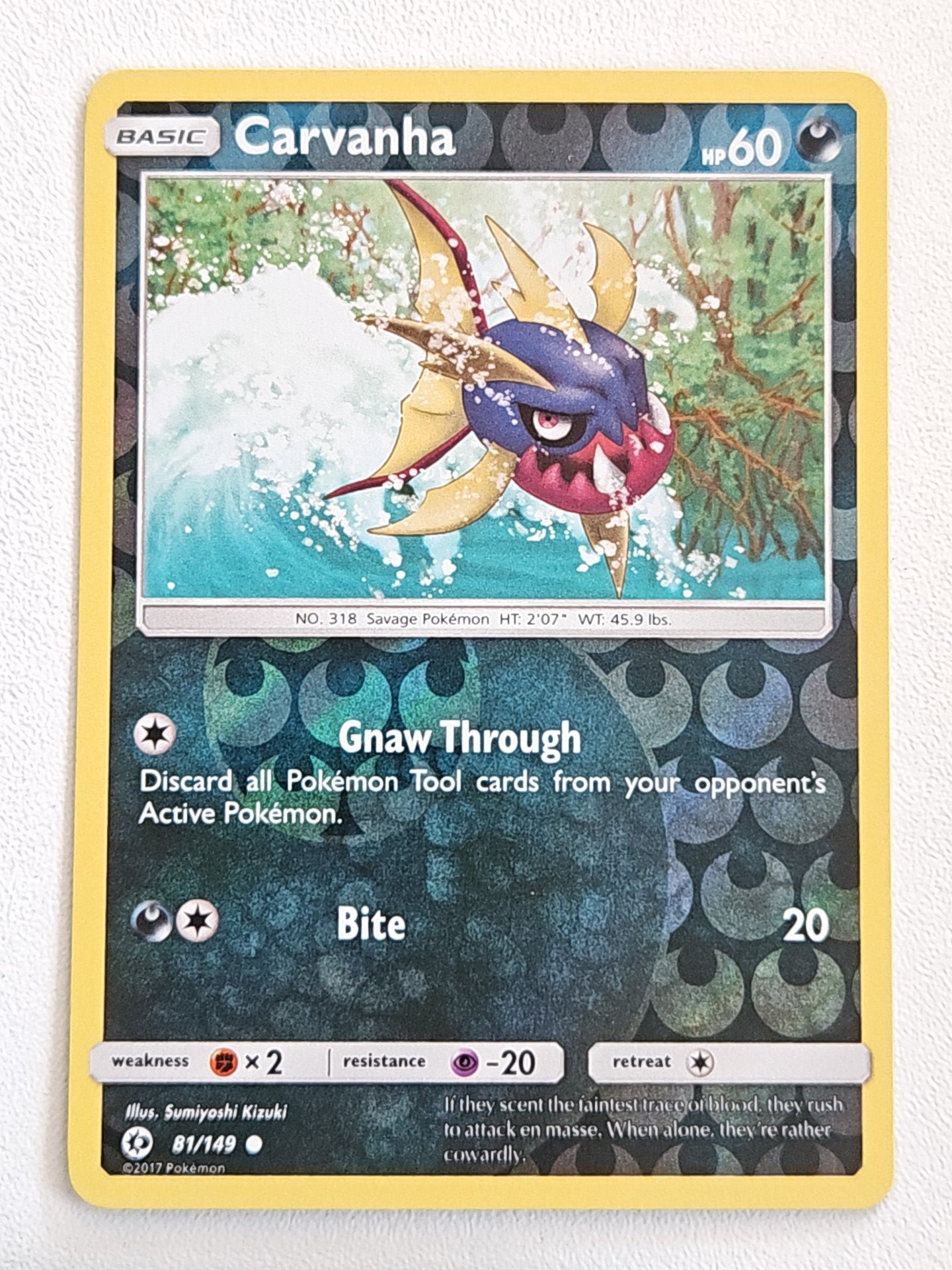 Carvanha 81/149 Sun & Moon