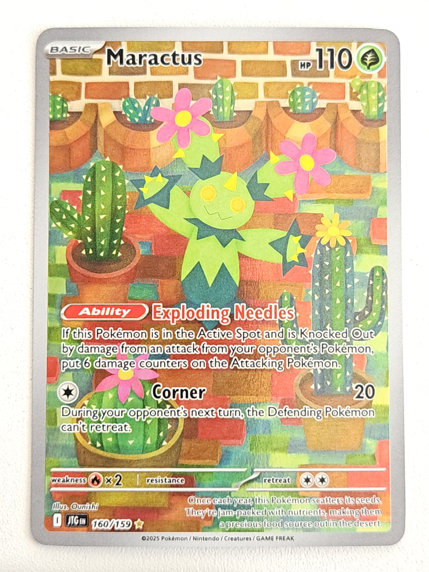 Maractus 160/159 Journey Together
