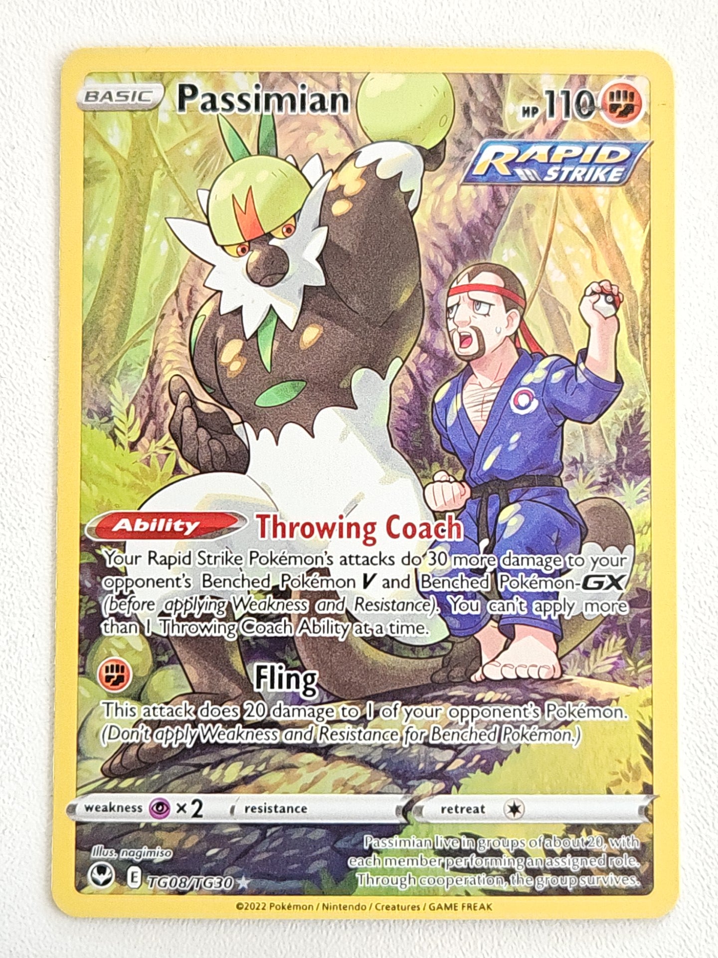 Passimian TG08/TG30 Silver Tempest