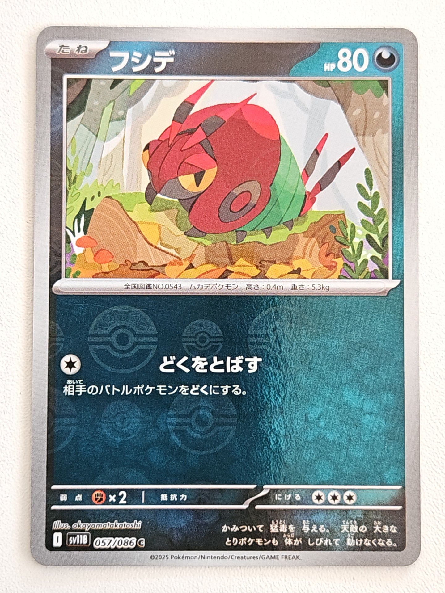Venipede 057/086 PokeBall Black Bolt